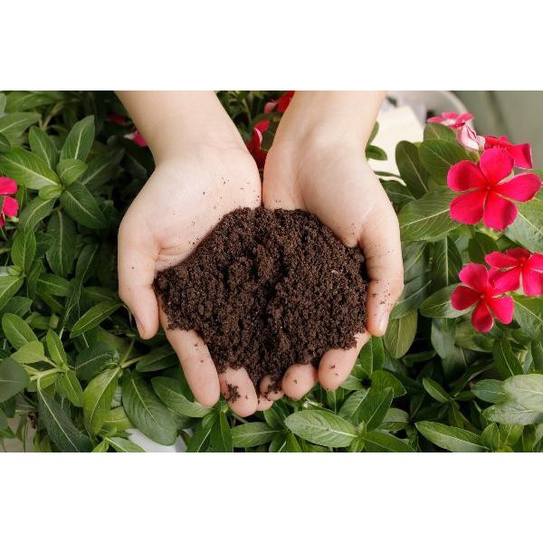 Phân Trùn Quế SFARM - Túi 2 Kg -  Dạng Bột -  Nguyên Chất Bổ Sung Dinh Dưỡng Cho Cây, Hoa, Cải Tạo Đất