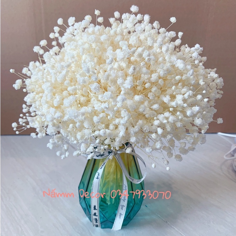 Set Lọ hoa baby khô trang trí nhà cửa, bàn làm việc, không gian sống, lọ thuỷ tinh kèm hoa baby khô đủ màu sắc phong pú