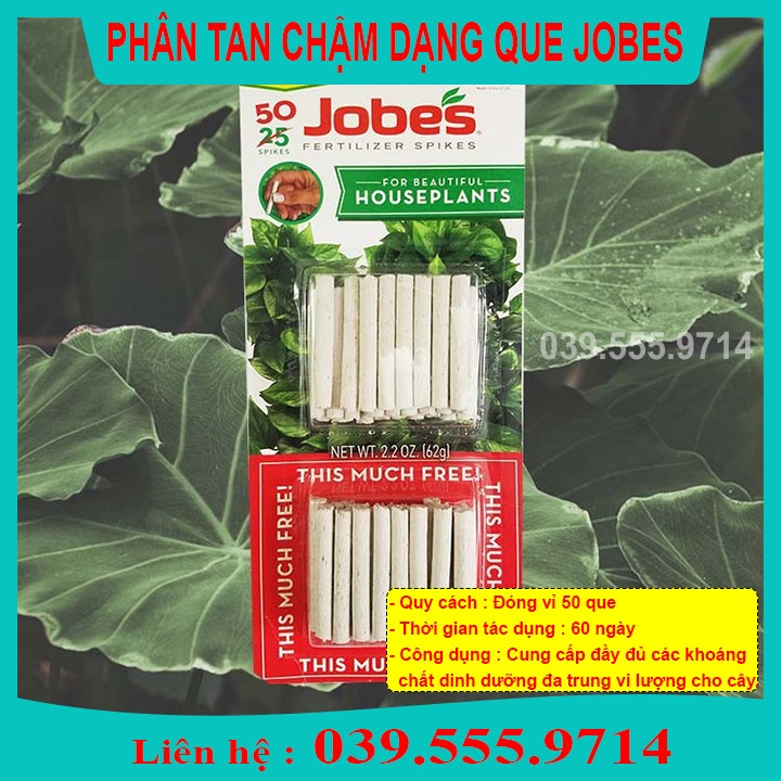 Phân Que ( Phân Con Sâu)  Mỹ JOBES ( vỉ 50 que) dạng tan chậm cho hoa lan, cây cảnh