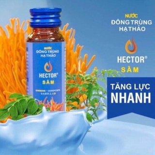 Đông trùng hạ thảo Hector sâm ( Hộp 10 chai)