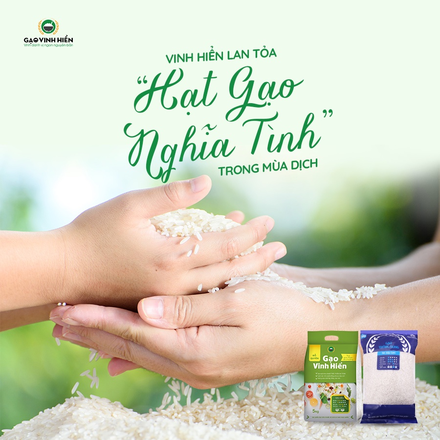 Gạo Thông Dụng 5kg - Nở xốp cơm