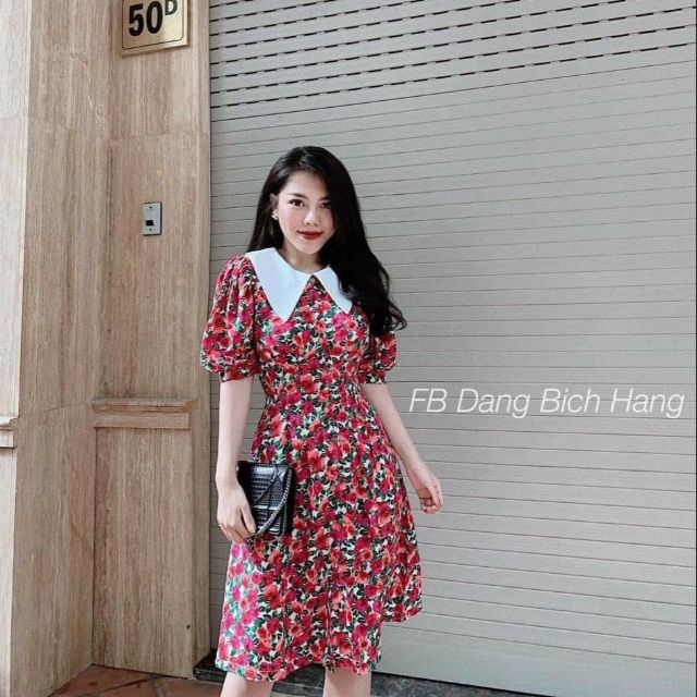 Đàm hoa đỏ cổ sen