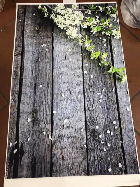 Thảm Chụp Ảnh 3D