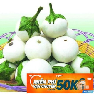 0.5g Hạt giống Cà pháo trắng (tặng gói kích nẩy mầm và hướng dẫn) LuckyseadTG