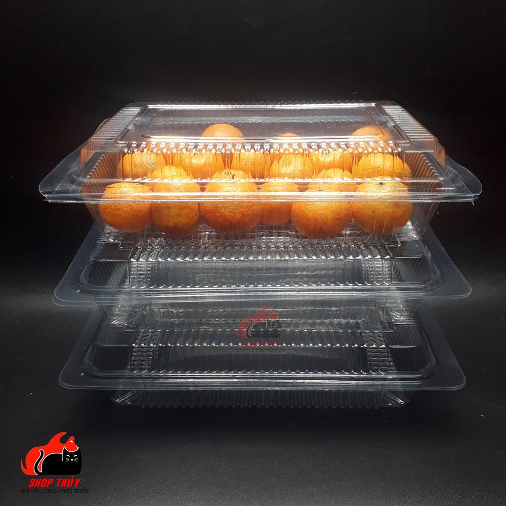 Hộp Nhựa 700g - 100 Hộp Nhựa Định Hình TN - Hộp Nhựa Dùng Một Lần Trong Suốt.