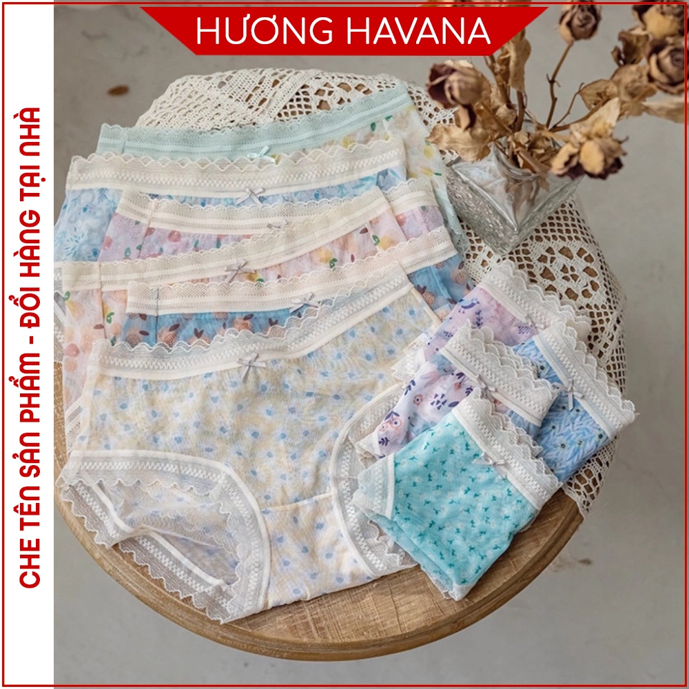 Quần lót nữ voan tuyết Vintage - quần chip nữ đẹp Havana FLQ90