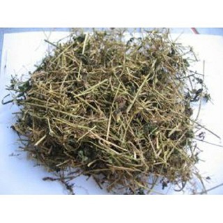 Dây - lá khổ qua rừng khô 1kg