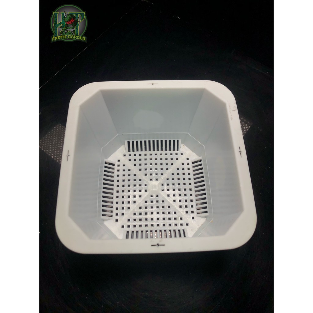 CHẬU TRỒNG CÂY VUÔNG CỦA HT- EXOTIC ZONE