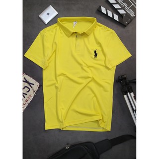 [MS 005] ÁO POLO THỜI TRANG NAM (Me nem)