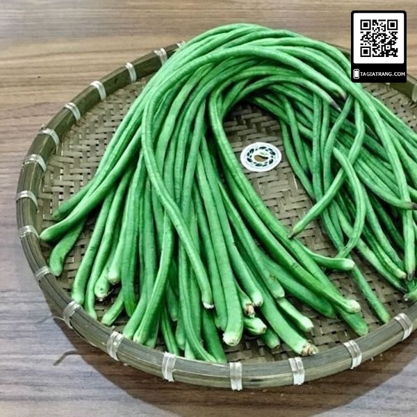 1KG Hạt giống đậu đũa (đỗ gièo - đậu dải áo, đậu bún) cao sản hạt đen