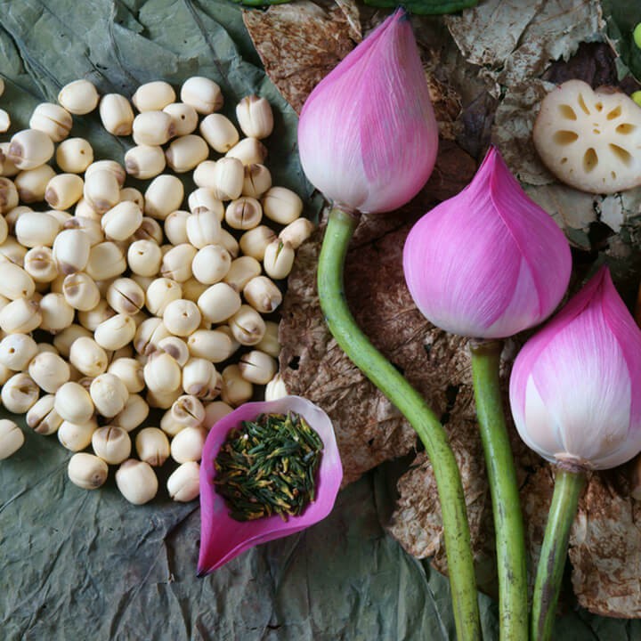 Hạt sen sấy khô (100 Gram) - siêu ngon loại 1 nấu chè nấu canh nấu cháo rất mát và bổ dưỡng - DS09