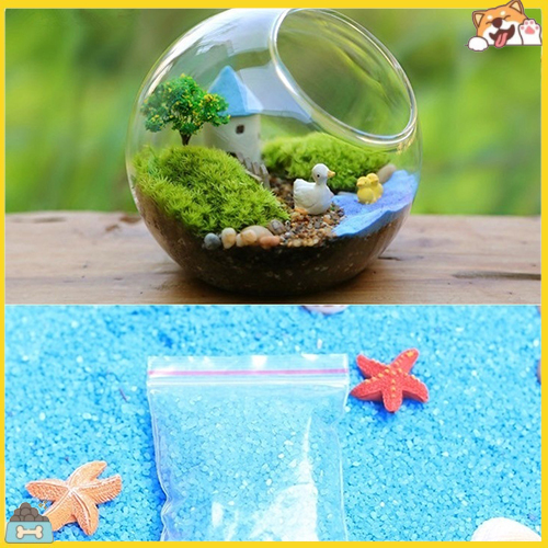 Túi cát xanh dương trang trí vườn cây cảnh