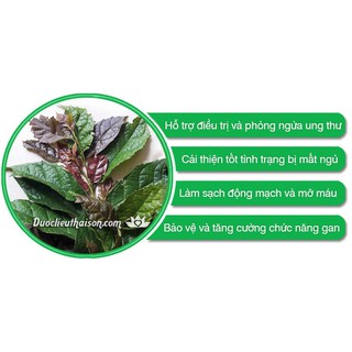 [2Kg] Xạ Đen Hoà Bình (Chính gốc Hòa Bình)