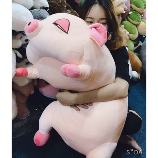 gấu bông heo hí
