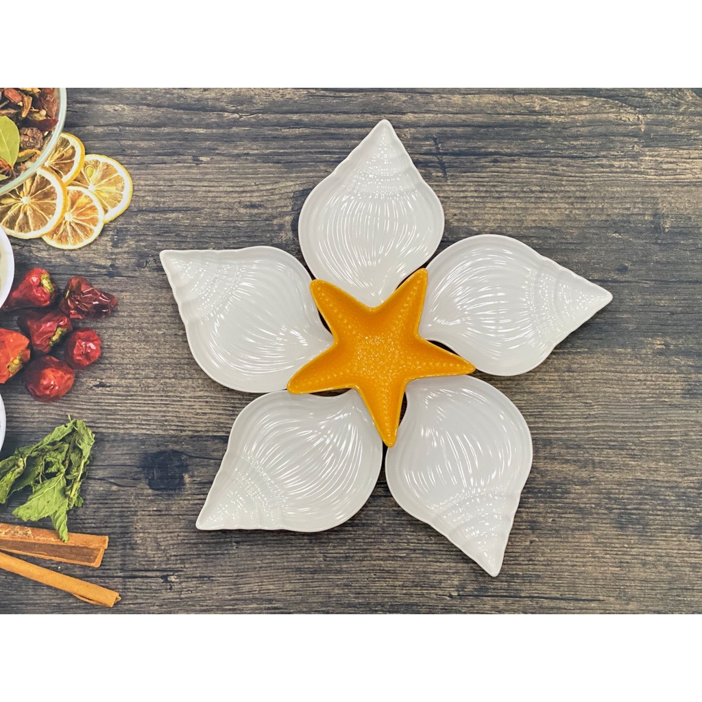 ♡ SET KHAY SAO ỐC CÁC MÀU