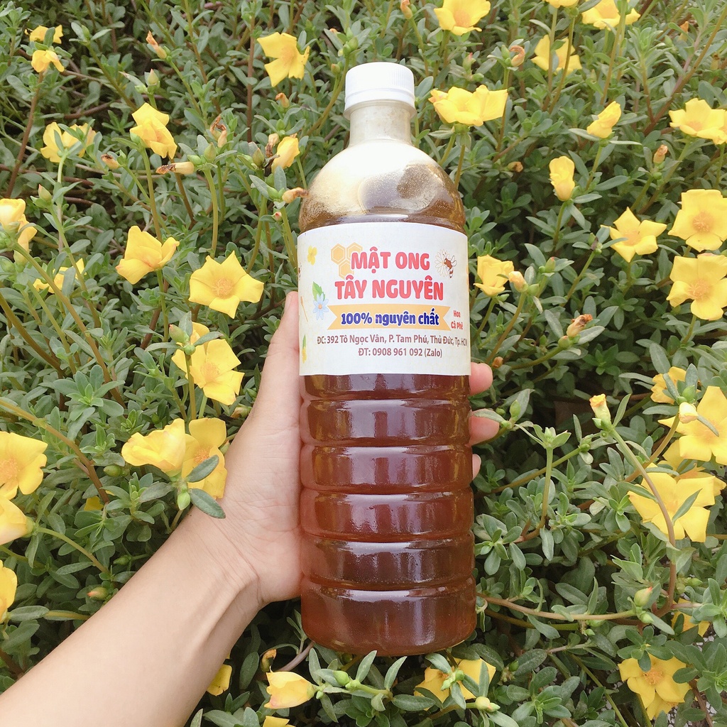 Mật ong Hoa Cà phê Daklak tặng 1 chai mật ong cà phê 100ml