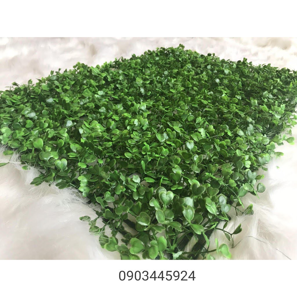 Combo 10 Cỏ Cải Xoong Nhân Tạo