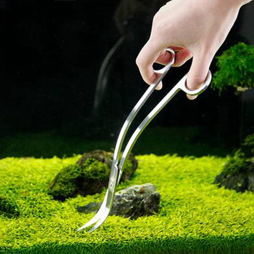 Kéo Cắt Cây Thủy Sinh Bể Cá Chuyên Nghiệp Kích Thước 25cm