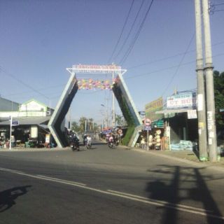 Cây phu quy