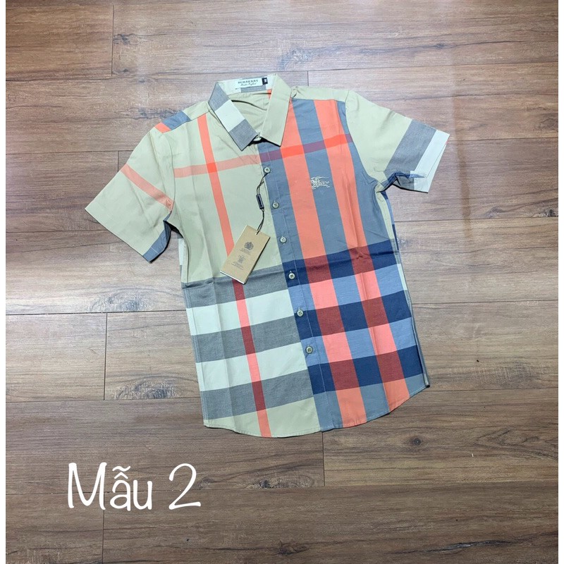 Áo sơ mi cộc kẻ bbr new hot💥 | BigBuy360 - bigbuy360.vn