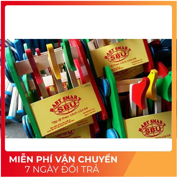 Xe tập đi con chim hàng Việt Nam