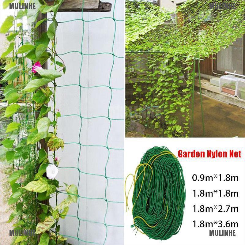 Lưới Nylon Hỗ Trợ Trồng Cây Dây Leo Cho Sân Vườn