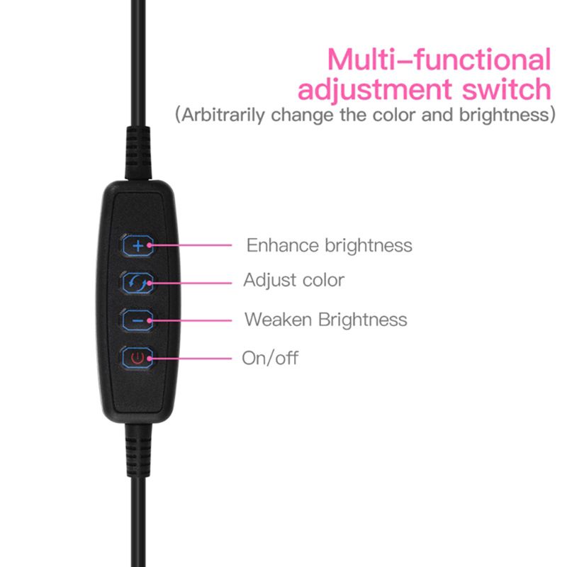 Vòng Đèn LED 24 Bóng Có Giá Đỡ Hỗ Trợ Live Stream / Trang Điểm