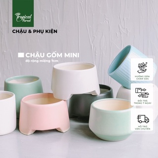 Chậu gốm trồng cây chậu mini TROPICAL FOREST