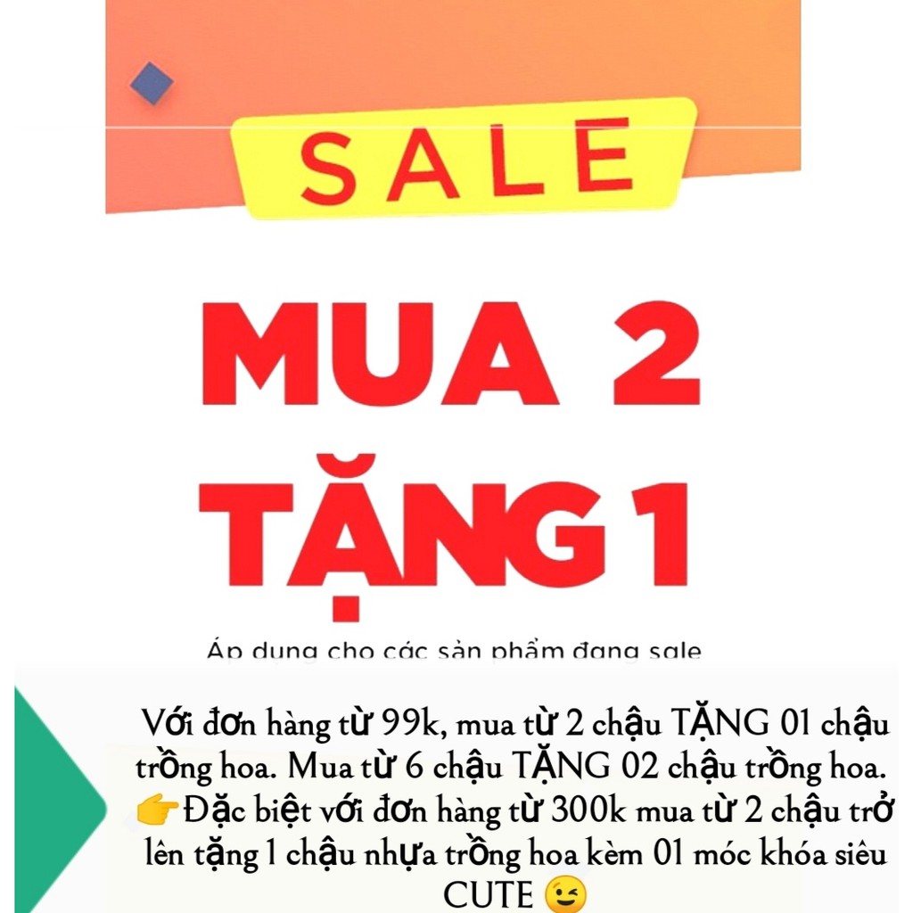 COMBO 02 Chậu sứ Bát Tràng Hình Kim Cương miệng rộng trồng cây Để Bàn, Cây Nội Thất, Sen Đá, Xương rồng, Cây Bonsa
