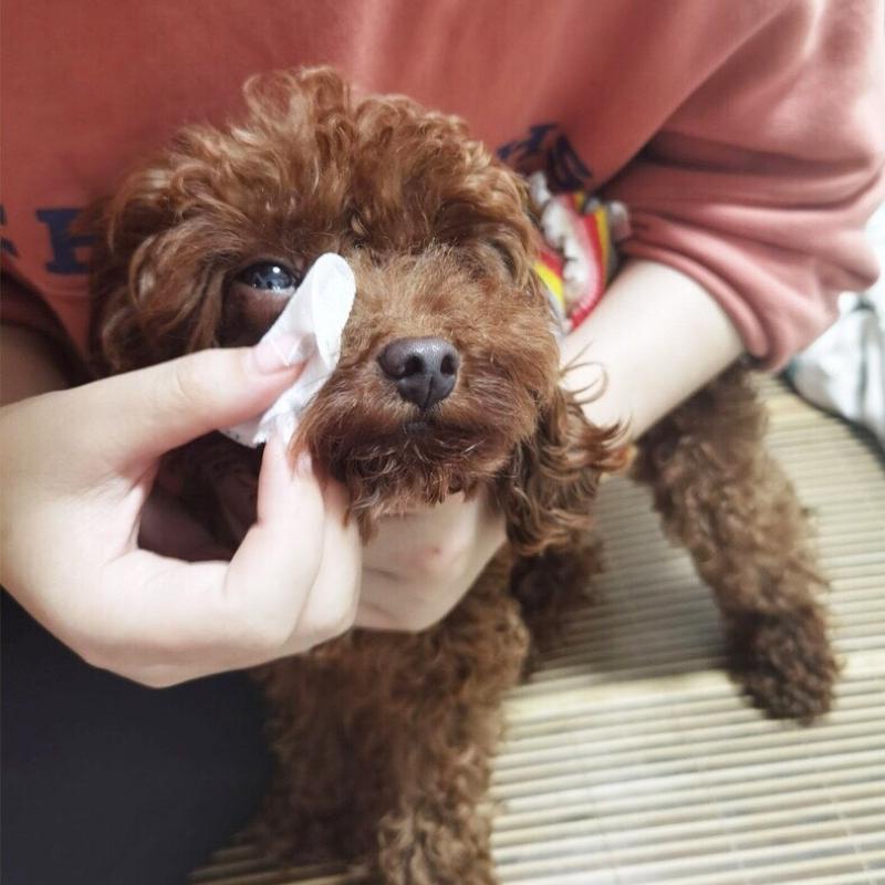 Khăn ướt lau mắt vệ sinh tai tẩy ố bẩn cho chó mèo thú cưng hộp 130 miếng-familypetshop.vn