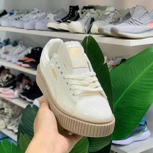 Giày thể thao Sneaker nam nữ puma đế nâu siêu hot, Thời trang Zenz