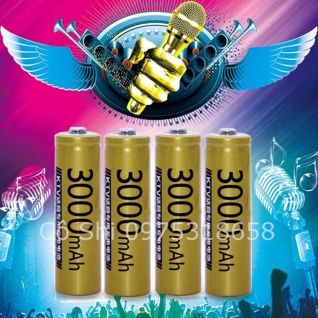 Bán Sỉ Pin AA 3000mah Hãng DOUBLEPOW Chất Lượng Cao Thích hợp cho KTV (micro karaoke)