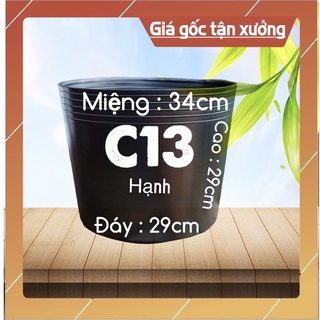 Combo 10 -20 chậu nhựa c13