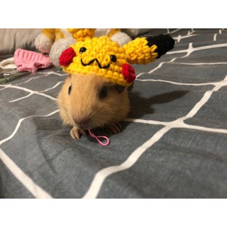 Set mẫu mới dành cho hamster,sóc,bọ,....