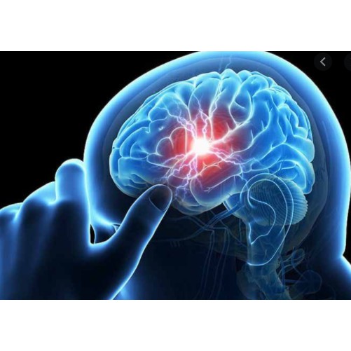 Bổ Não, Giảm Đau Đầu,Tê mỎI Tay Chân FRANGOLD FAST
