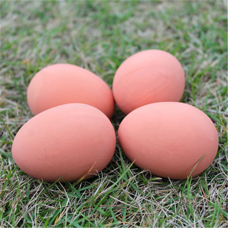 Bộ 6 Đồ Chơi Tương Tác Với Thú Cưng Vui Nhộn
