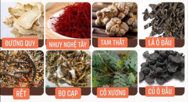 CAO BÔI XƯƠNG KHỚP - HÀNG CHUẨN