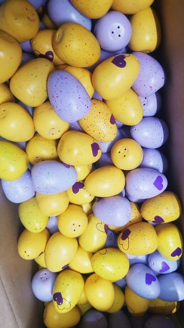 TRỨNG HATCHIMALS 🥚🥚🥚CÁC MÙA
