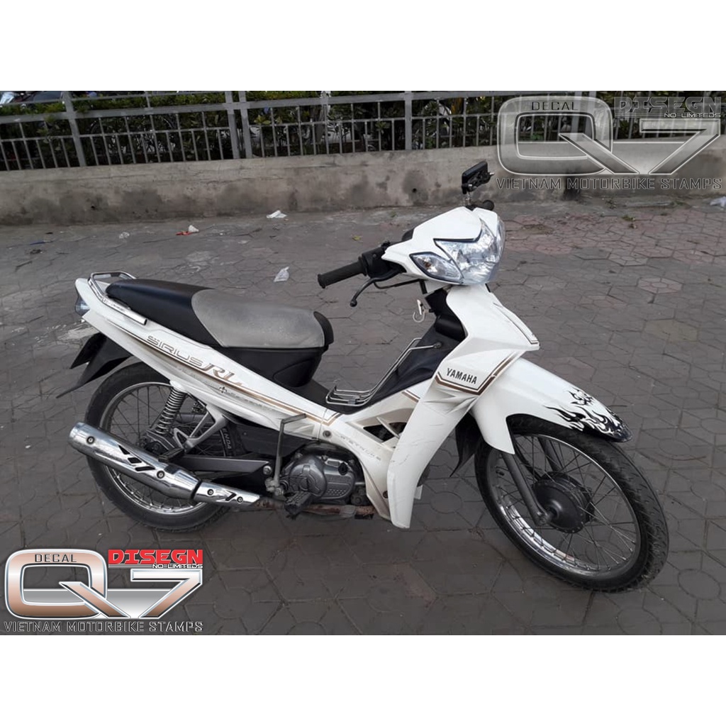 Tem Rời Sirius 110 ZIN 2010