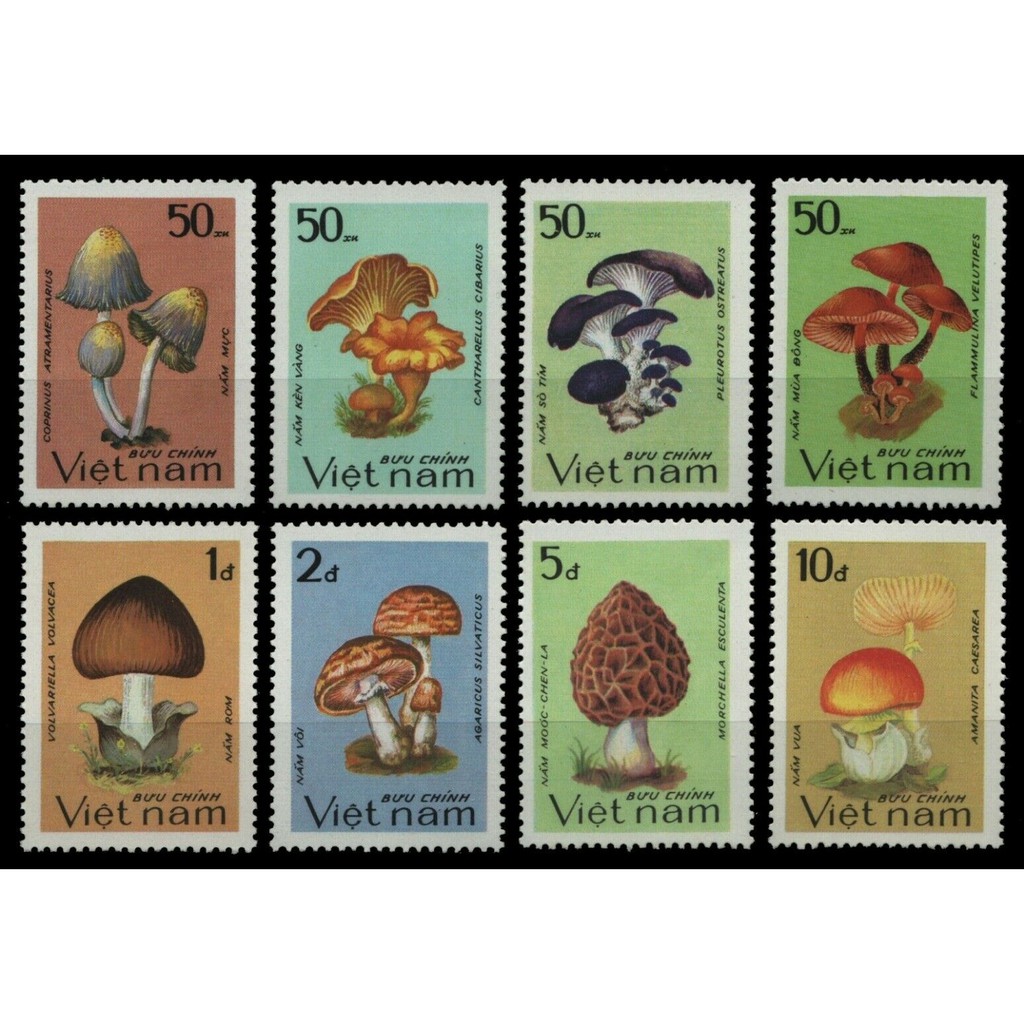 Tem sưu tập MS 425 Tem Việt Nam Nấm Lành 1983 (8 tem)