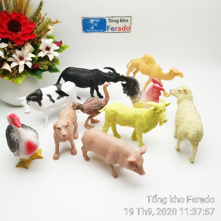 Bộ 10 mô hình đồ chơi động vật rừng cho trẻ em