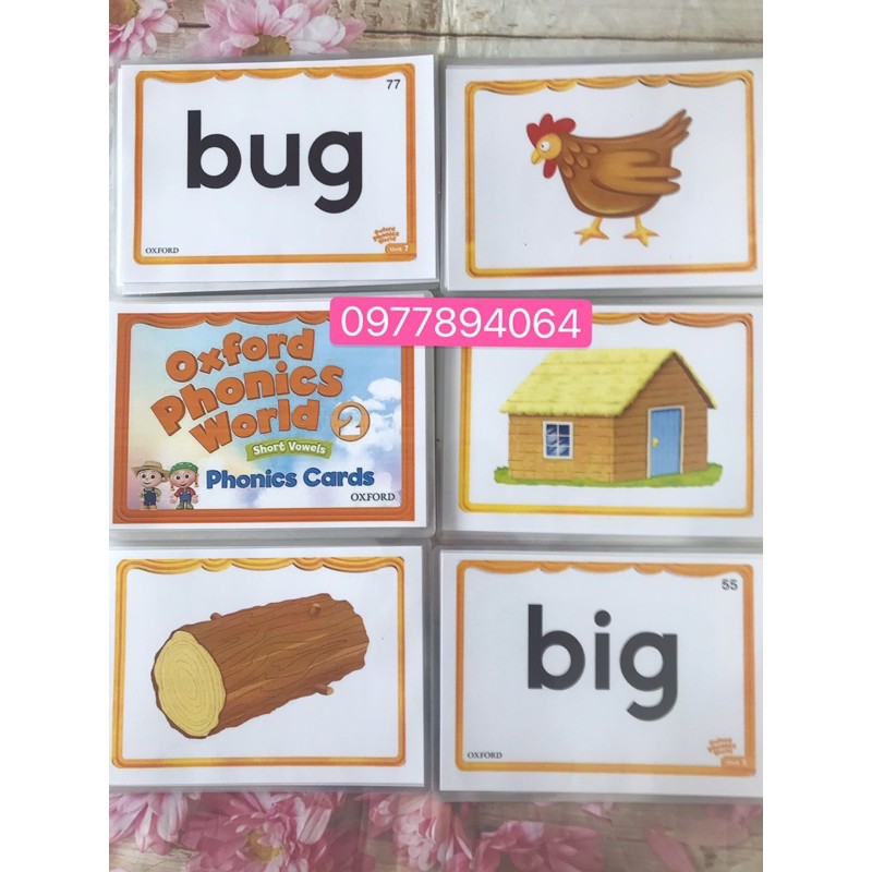 Flashcards Oxford Phonics World 2- Thẻ size A5 ép plastics bền đẹp☘️giáo cụ đồ dùng dạy học Tiếng Anh❤️