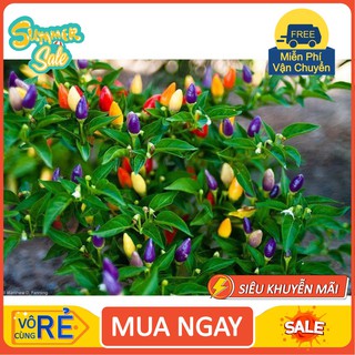  Gói 30 Hạt giống ớt kiểng ngũ sắc - Nanuseeds [hàng chất lượng]