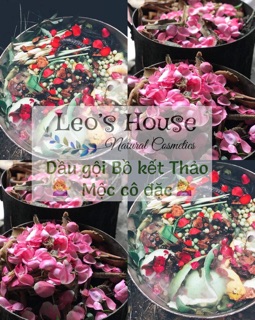 Dầu gội organic plus Leo House