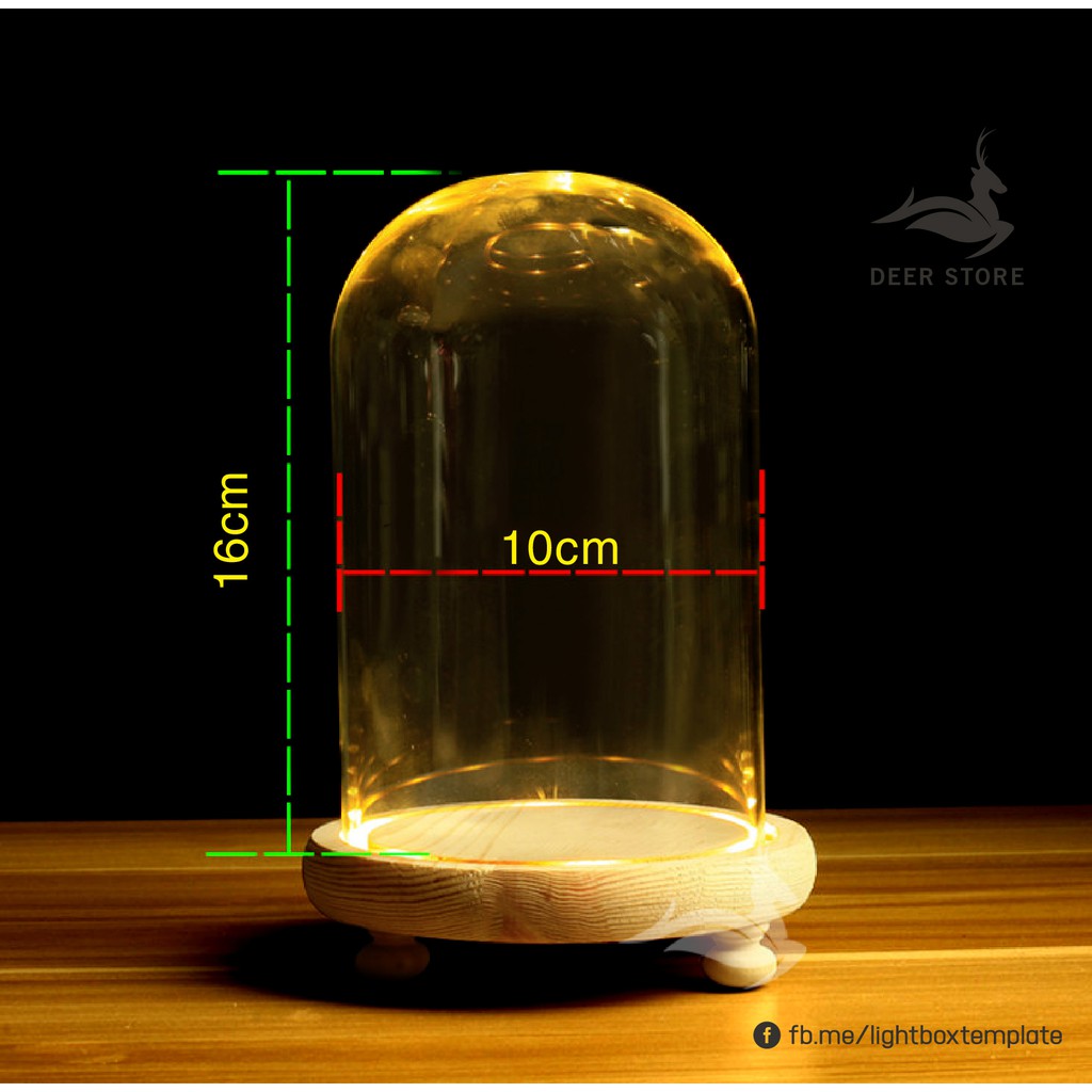 Chụp thủy tinh đế gỗ trang trí (Đường kính 10 cm) - Có đèn Led Tặng kèm pin.