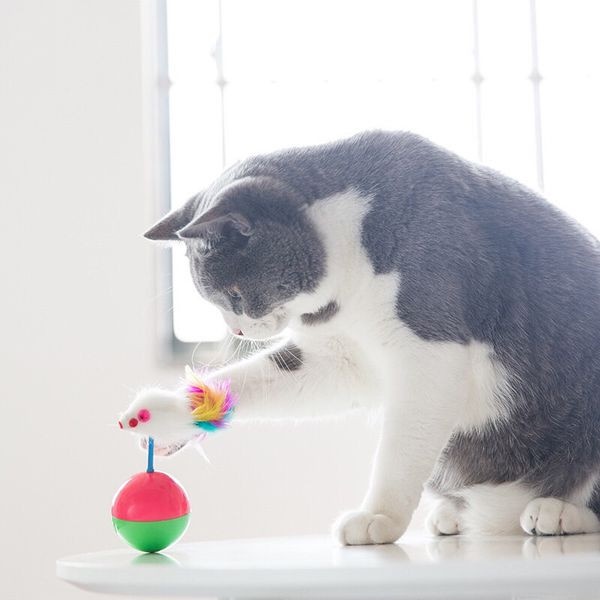 Đồ chơi chó mèo chuột lật đật