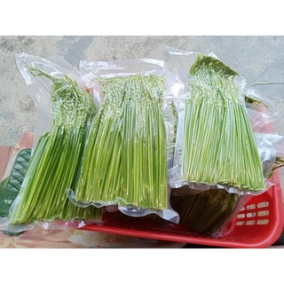 Đòng đòng nếp [Nông Sản Tây Bắc]