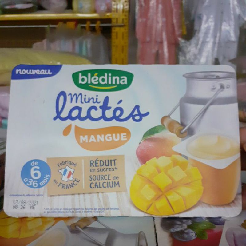 sữa chua hữu cơ bledina Pháp ( đủ các vị )