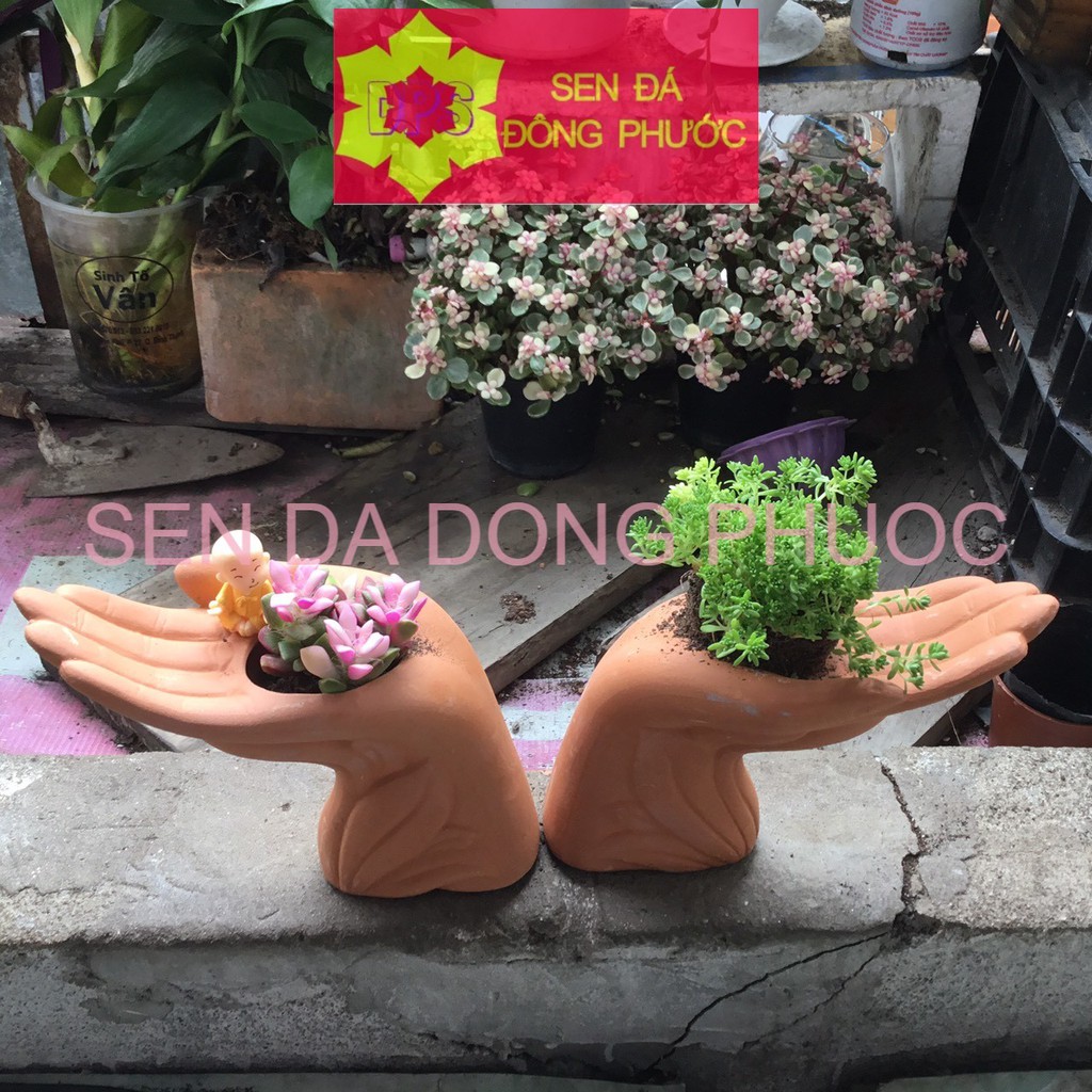 CHẬU ĐẤT NUNG HÌNH BÀN TAY - chậu trồng tiểu cảnh sen đá, xương rồng, cây phong thuỷ văn phòng đẹp