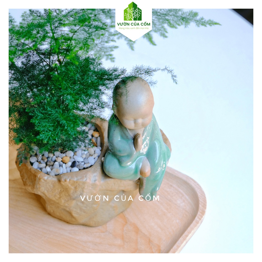 Cây cảnh Thủy Tùng để bàn kết hợp cùng chậu Bình An . Cây phong thủy cho tất cả các mệnh rất thích hợp làm quà tặng